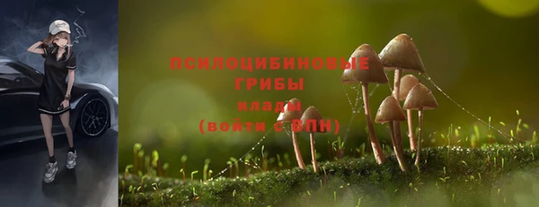 тгк Навашино