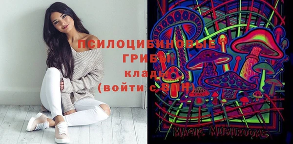 MESCALINE Лабытнанги