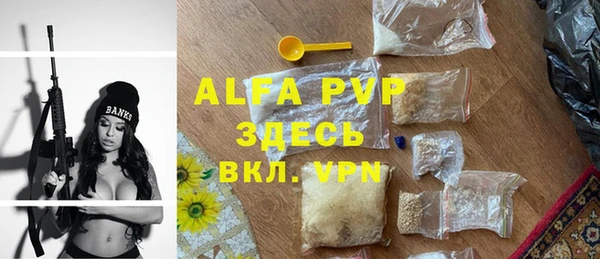 твердый Надым