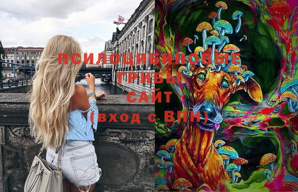 jwh Нефтекумск
