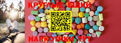 прущие грибы Дубна