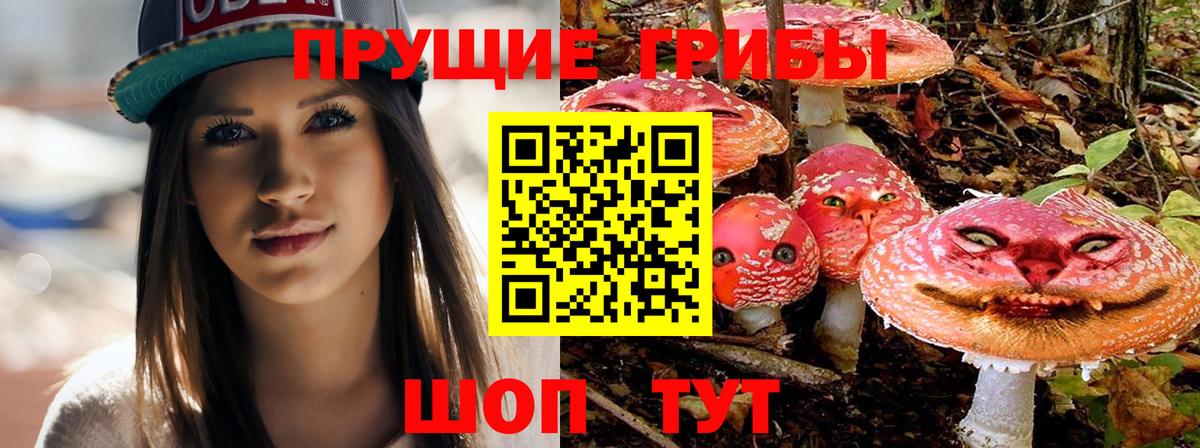 наркотики  Галлюциногенные грибы Magic Shrooms  Иваново  Псилоцибиновые грибы GOLDEN TEACHER 