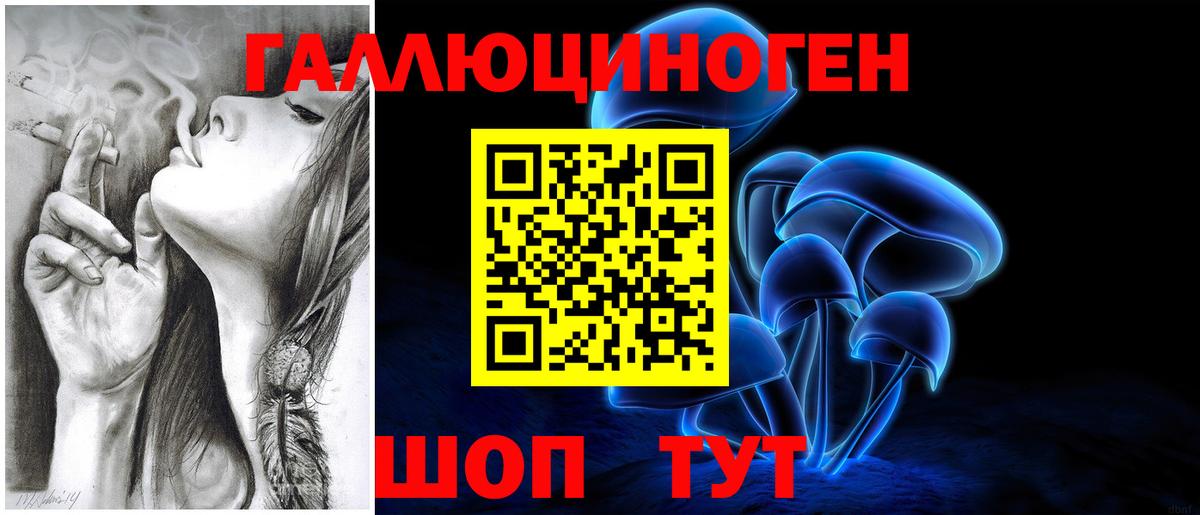 Псилоцибиновые грибы Cubensis Иваново