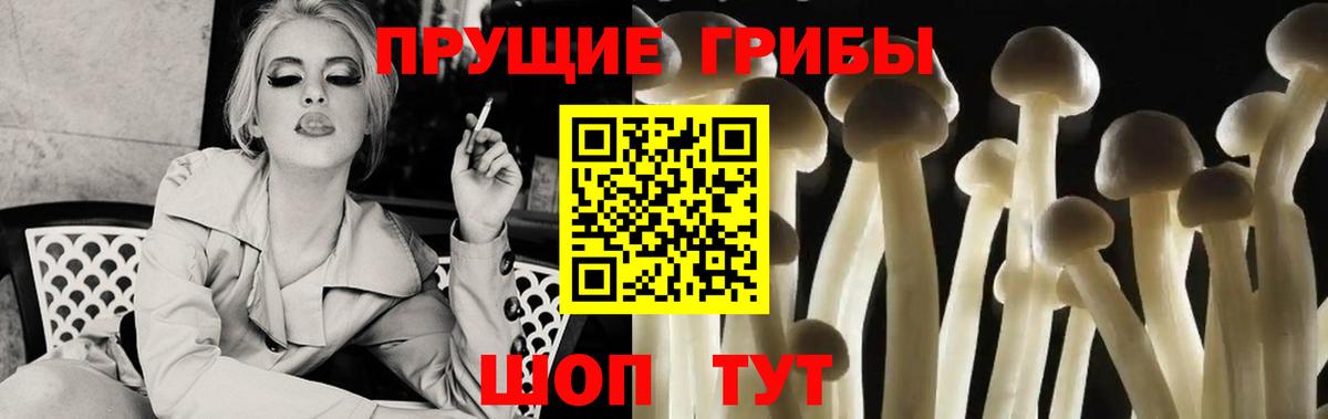 Псилоцибиновые грибы MAGIC MUSHROOMS  Вход с VPN  наркошоп  Иваново 