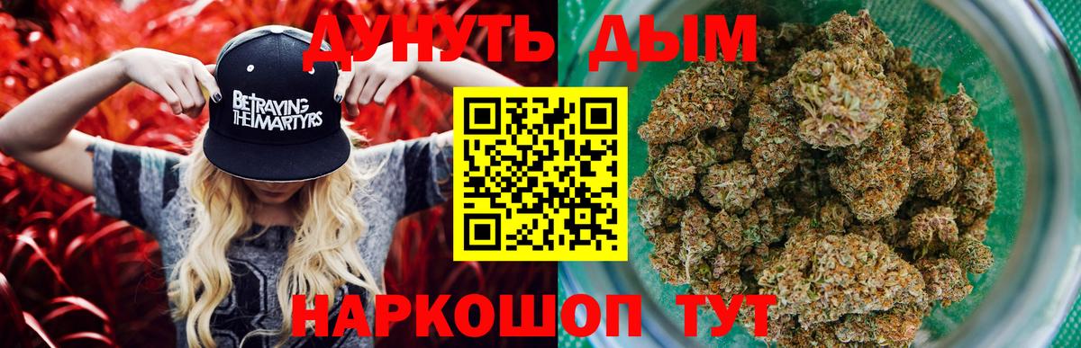 Каннабис гибрид  Иваново  Конопля семена  Бошки Шишки SATIVA & INDICA 
